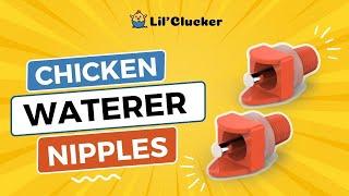 LIL"CLUCKER Horizontal Chicken Waterer Nipples (Easy Install, No Leak, and with free Drill Bits)