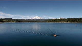 The Triple Crown of Open Water Swimming