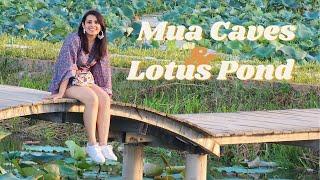 Exploring the Hidden Paradise: Ecolodge at Mua Caves & Lotus Ponds Adventure