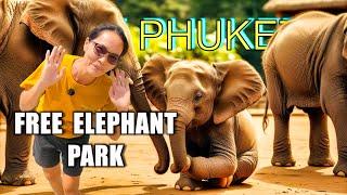 FREE ELEPHANT SANCTUARY on PHUKET