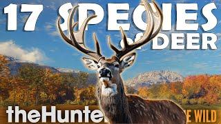 EVERY SPECIES of DEER in the GAME with DIFFERENT GUNS!!! - Call of the Wild