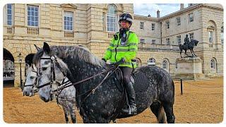 GIANT POLICE HORSE Steals the Show as he Strolls Through Horse Guards!