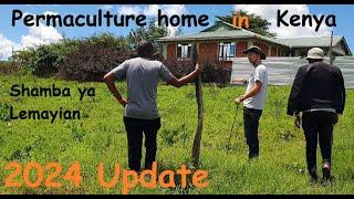 Shamba ya Lemayian - Permaculture home in Kenya with Agroforestry focus - 2024 update