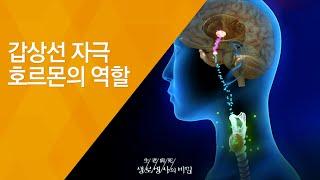 갑상선 자극 호르몬의 역할 - (2010.4.15_329회 방송)_천의 얼굴, 갑상선질환