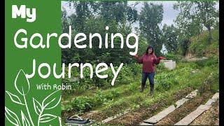 My Gardening Journey in Alaska