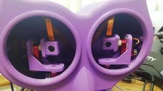 Owl bot showing Circular motion of both eyes