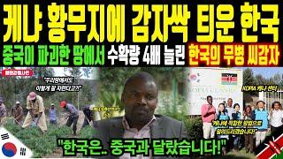 "케냐 감자 수확량 4배 증가시킨 한국의 농업기술과 무병 씨감자" 중국 때문에 황폐해진 땅에서 만든 기적! 세계 1위 농업기술과 한국어로 꿈을 키우는 아이들ㅣ해외감동사연