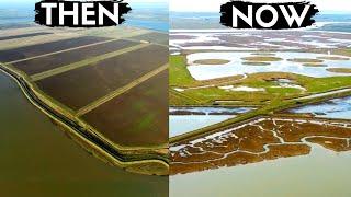 How This Degraded Land was Transformed into Thriving Wetlands