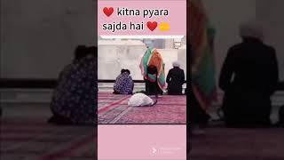 mohabbat ke sajdey | | #shorts #naat #nasheed #sajda #islamic #youtubeviral