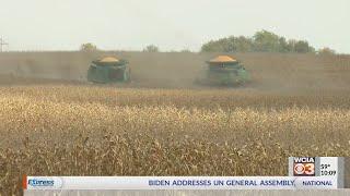 'Everything's taking up space': Central Illinois farmers struggle to find storage amid crop surplus