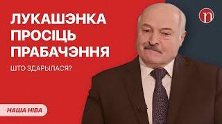 Лукашэнка просіць прабачэння: што здарылася / Забіў першую сустрэчную: трагедыя пад Магілёвам