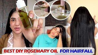 Best DIY Rosemary oil for hair growth and hairfall 