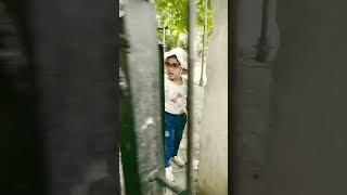 #shorts #cuteee#pankhu live