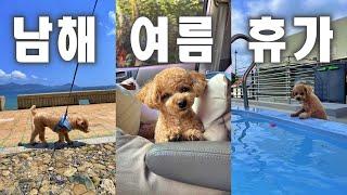 [여행vlog] 강아지 수영 어떻게 가르쳐야 할까요? ㅠㅠ | 차박 | 차박하기 좋은차 | 차박캠핑 | 차박 브이로그 | 남해