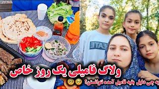 ولاگ فامیلی یک روز خاص/ولی اتفاق بدی که افتاد #foryou #picnic