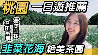 桃園自然生態一日遊～浪漫韭菜花海｜壯麗中庄吊橋｜絕美茶園咖啡廳～景美山林、山豬湖生態親水園區