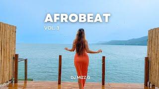 SUPA VIBES AFROBEAT MIX | The BEST of afrobeat | Tropical vibes by DJ MIZZ G