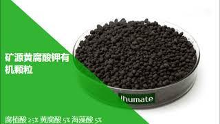 Ihumate Family