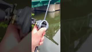 Shimano CURADO DC 150HG