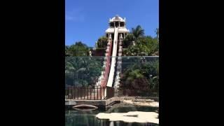 Water Slide Tenerife Siam Park