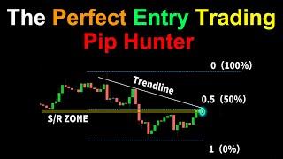 Piphunter Indicators Perfect Entry Trading Strategy Proven 500 Trades | Complete Unbiased