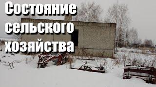 Состояние сельского хозяйства России в регионах. Почему люди уезжают в города? Наглядный ответ.