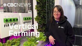 Massive indoor garden helps feed people who are hungry