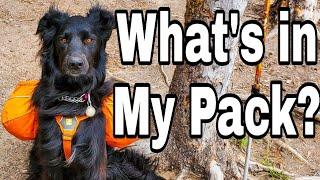 What's in my pack, Wanda edition! Dog backpacking gear for multi day trips!