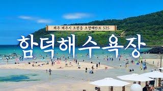 Jeju Island Travel Destination Hamdeok Beach[4K][Korea Tourist Attractions, Beaches]