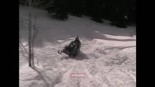 Snowmobile Tree Hit Accident