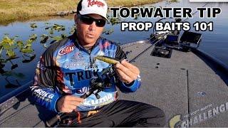 Exclusive Topwater Fishing Tip: How to Fish a Prop Bait - What you need to know