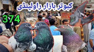 374 | Kabootar Market Rawalpindi | Latest Update High Flyer Pigeon Market Price 17/11/2024 !