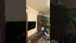 Странное