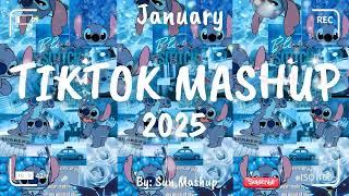 Tiktok Mashup January 2025 (Not Clean)