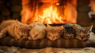 Cozy Room Ambience with Napping Cats  Sleep Instantly with Fireplace And Purr Sound