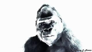 Philadelphia Zoo Gorilla Kuchimba - Special effects video