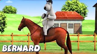 Bernard Bear | Horse Racing! AND MORE | Cartoons for Children | Full Episodes