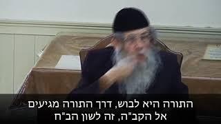 הרה"ג הרב ווכטר שליט"א - הזוהר על החובה ללמוד פנימיות התורה