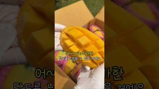 당도가 어~~마어마한 무지개망고 #무지개망고 #돌쇠네농산물