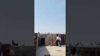 #kabutarbazi #bird #kabutar #kabutarbaji #kabootar #kabootar #pigeonbird #pigeonracing #pigeonlover