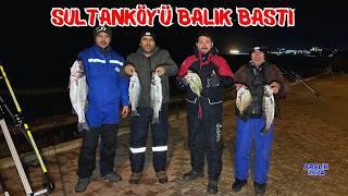 SULTANKÖY'DE DEV BALIK AVI ! LEVREK, MİNEKOP, SARGOZ, HEPSİ BURADA ! #fishing #balikavi #balıkavı