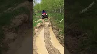 Проходимость КВАДРОЦИКЛОВ CFMOTO в Смоленске / Cross-country performance of CFMOTO ATVs in Smolensk