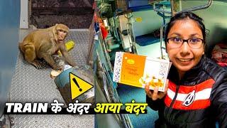 *Monkey In Our Coach️* Onboard 20805 Andhra Pradesh Express Vlog | Vizag to New Delhi Train Journey