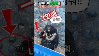 할머니가 배식 담당이면 생기는 일