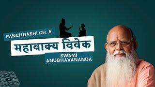 महावाक्य विवेक - Panchdashi Chapter 5 (Hindi) - Talk 4 | Swami Anubhavananda