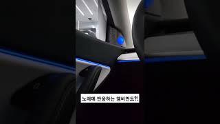 핑크베놈 따라 춤추는 엠비언트 ㄷㄷ #shorts #tesla #blackpink #자동차 #테슬라