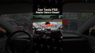 TESLA FSD TAKES ON CHINA'S CHAOS