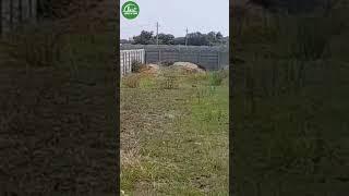 MOINABAD : 10 GUNTAS AGRICULTURE LAND FOR SALE | MOINABAD | TELANGANA | Landsinindia #shorts