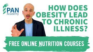 How does obesity lead to chronic illness? | PAN Academy | Free Online Nutrition Courses