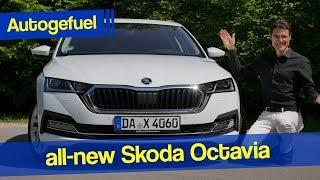 2020 new Skoda Octavia Combi REVIEW - Autogefuel